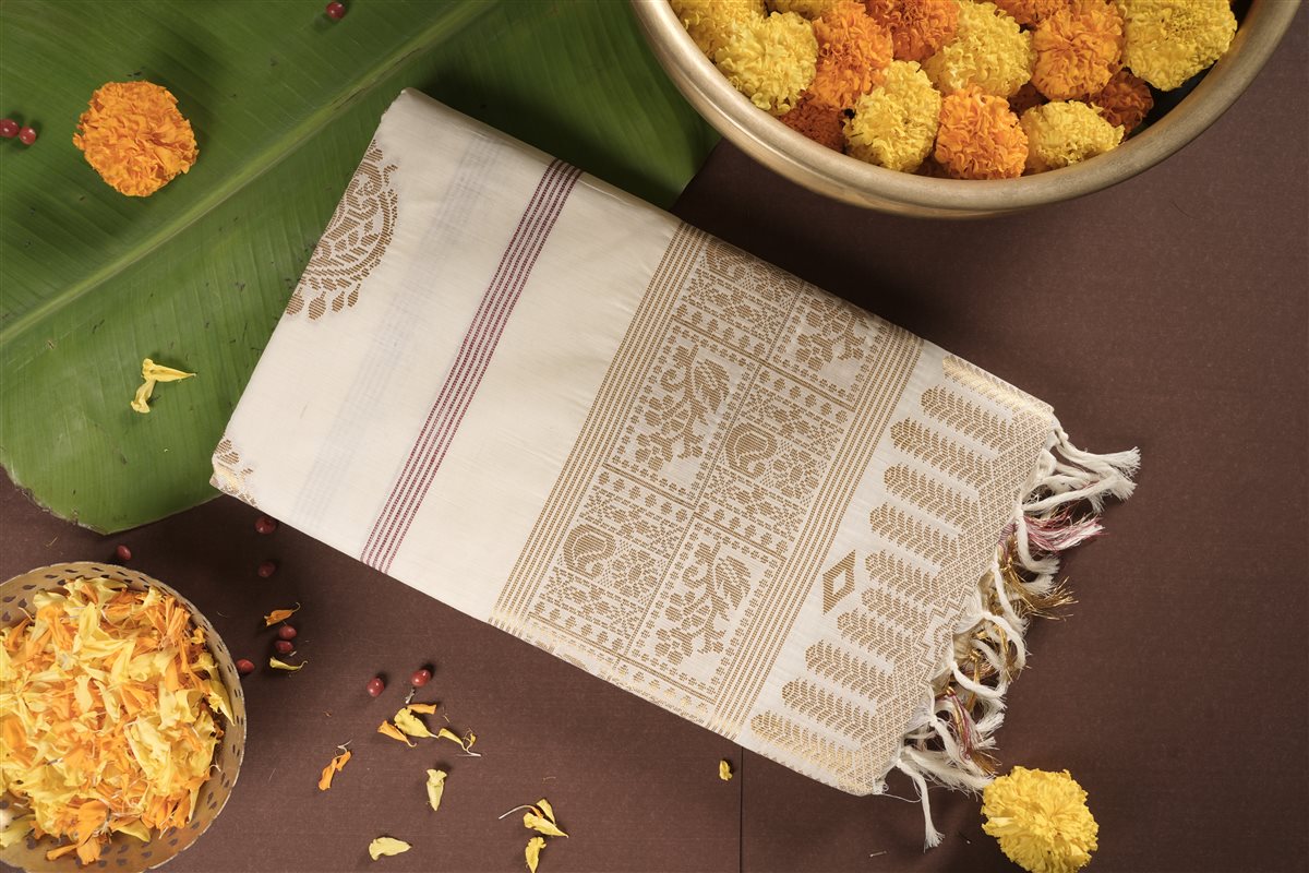 Royal Loom Cotton Kasavu saree - Handloom Cotton - SAREES - WOMAN | Trida Fashion