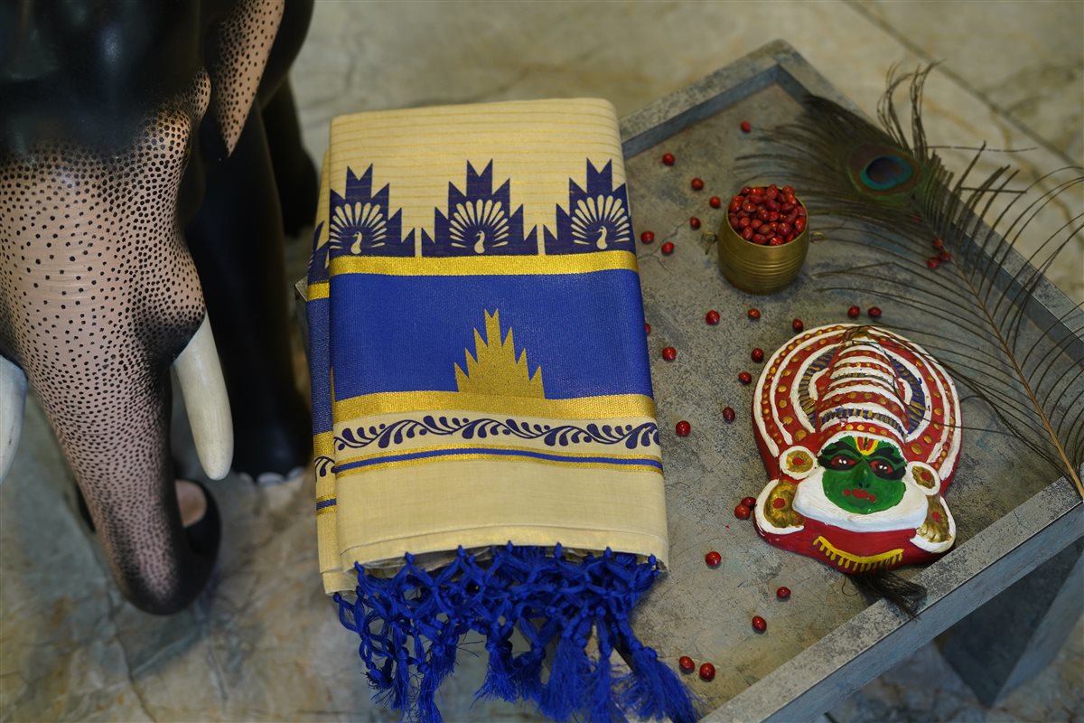 The_Sapphire_Temple_Border_Saree